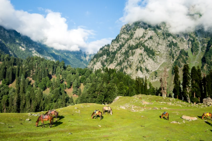 9 NIGHTS 10 DAYS KASHMIR PACKAGE