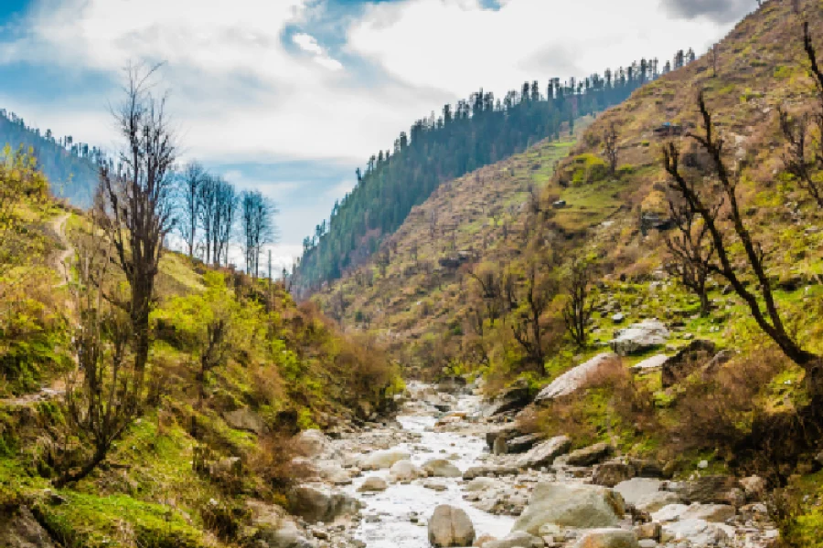 spring in kashmir