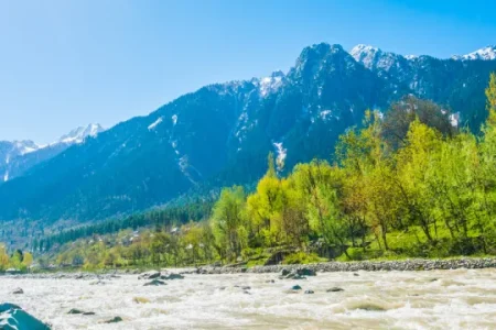 Experiencing Kashmir through its Houseboats: A Unique Stay on Dal Lake